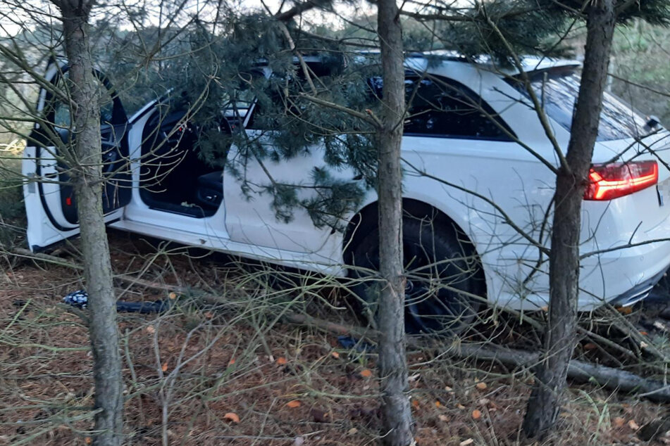 Fahrtende im Wald: Ein 30-Jähriger flüchtete mit seinem Audi A6 vor der Polizei.