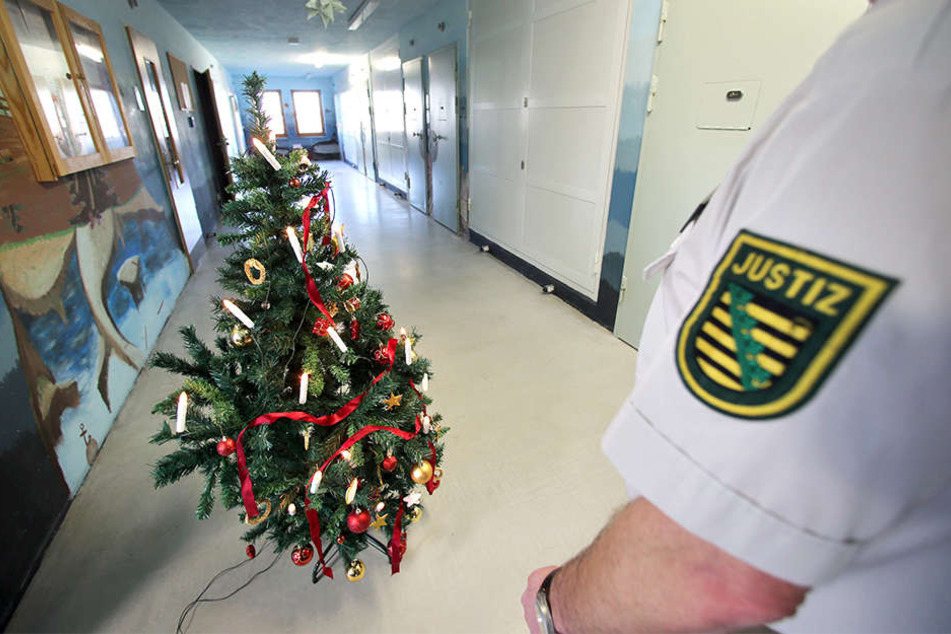 Festlich geschmückte Weihnachtsbäume stehen auf den Gefängnisfluren.