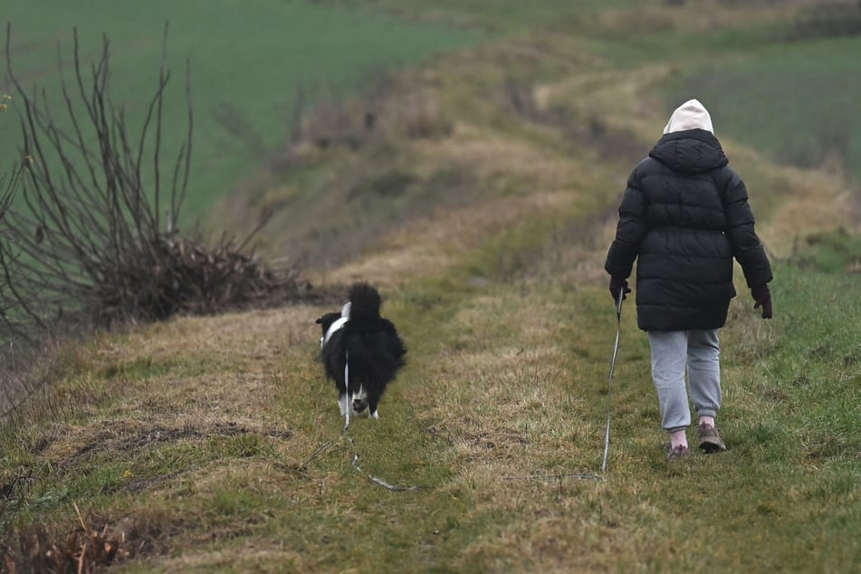 Die Frau war am Nachmittag nichtsahnend in der Natur unterwegs. (Symbolbild)