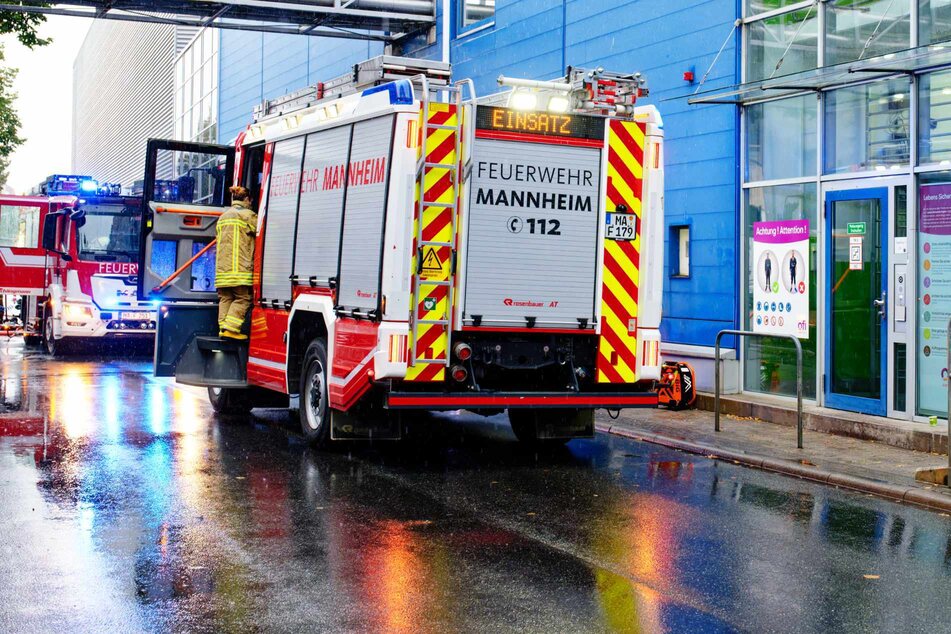 Kakaobohnen fangen Feuer: Süßer Duft über Mannheim