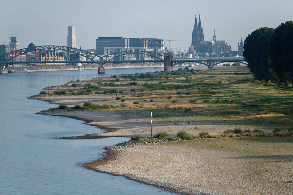 Der Rheinpegel war in den vergangenen Wochen durch die Trockenheit stark gesunken.