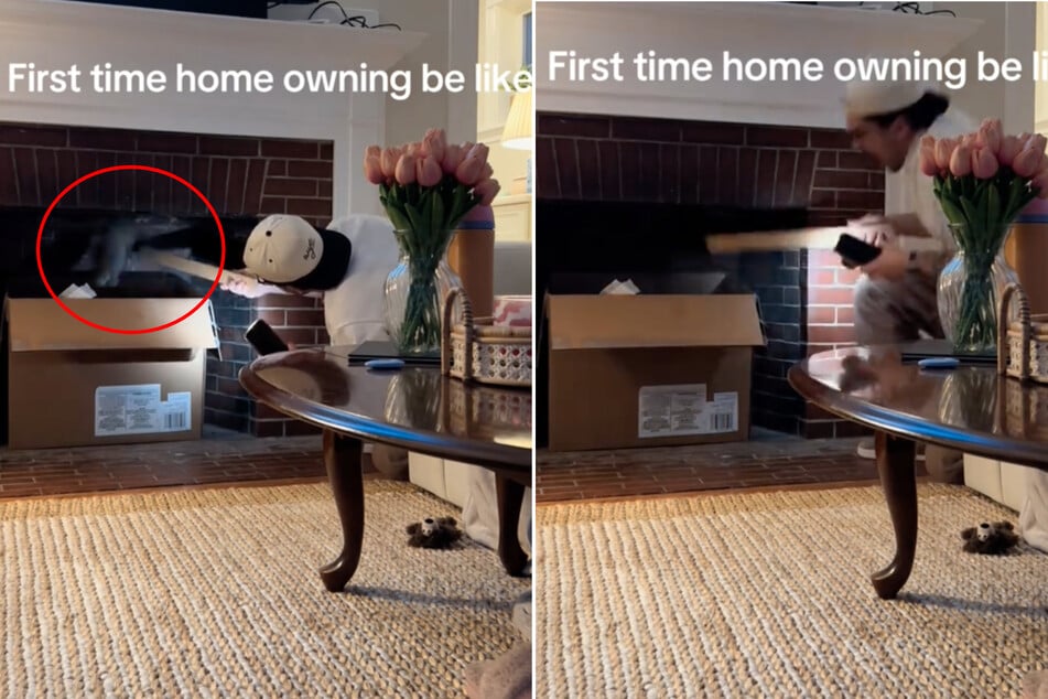 Man makes shocking animal discovery inside fireplace of his new home!