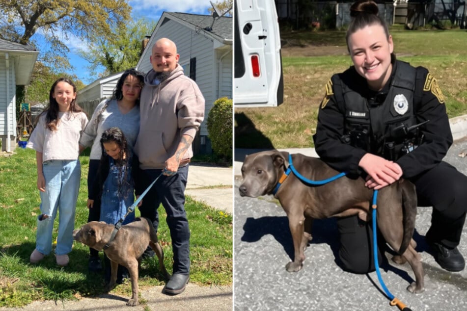 Nach dem erfolgreichen Einsatz zeigte sich der Ausreißer von seiner Schokoladenseite und ließ sich gebührend ablichten.