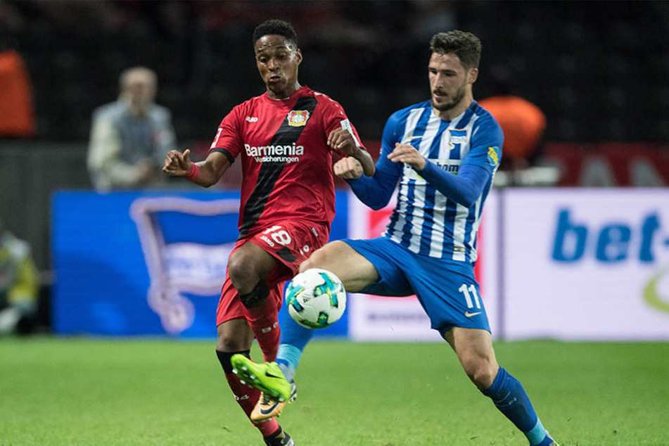 Herthas Mathew Leckie (r) und Leverkusens Wendell kämpfen um den Ball.