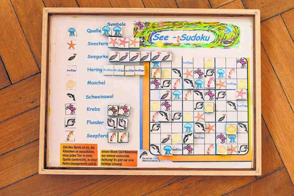 Statt auf Papier spielt man sein Meeres-Sudoku auf einer Metallplatte und mit Holzklötzchen auf Magneten. So kann es immer wieder verwendet werden.