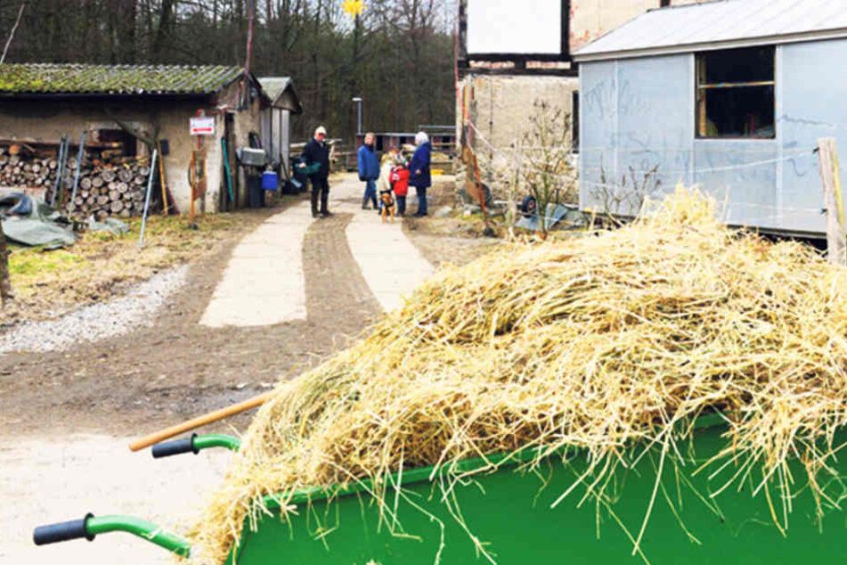 Die kleine Reitschule der Hofewiese bedankt sich für die große Unterstützung.