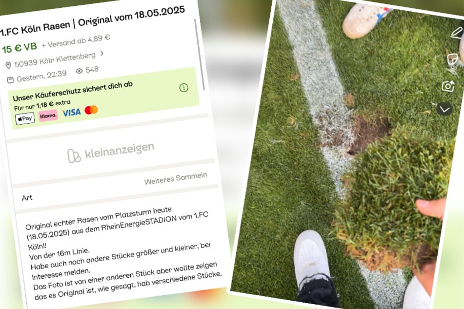 Auf Kleinanzeigen kursieren aktuell einige Angebote des heiligen Aufstiegsrasens vom 1. FC Köln.