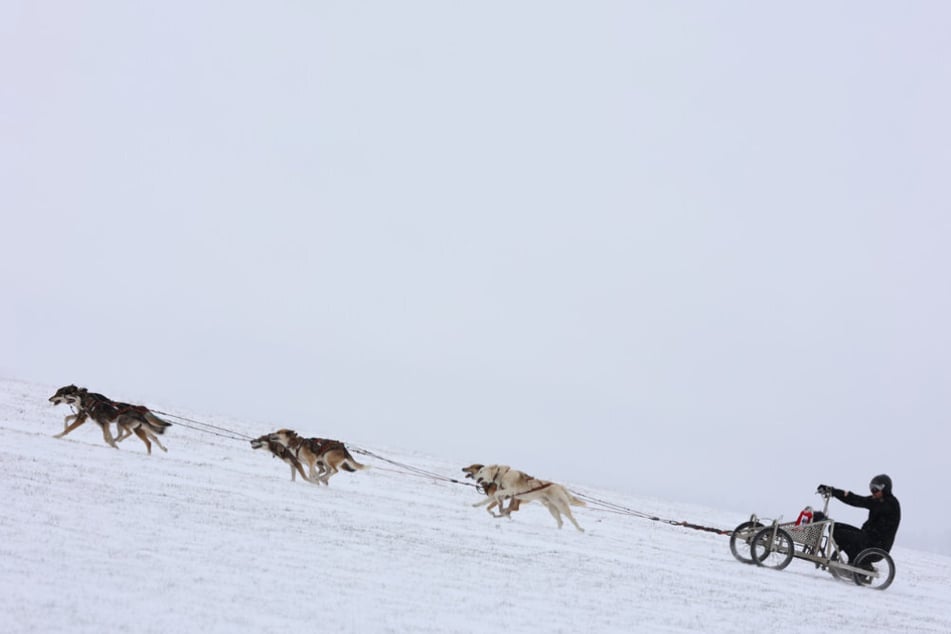 Die winterlichen Bedingungen reichten nicht ganz aus, um mit Schlitten zu starten. Die Teilnehmer griffen daher zu Wagen.