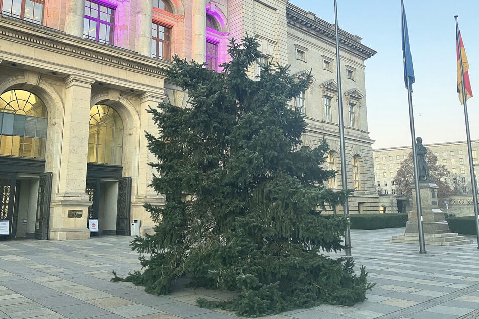 Die Notlösung musste aus Sicherheitsgründen wieder entfernt werden, jetzt sieht der Baum so aus.