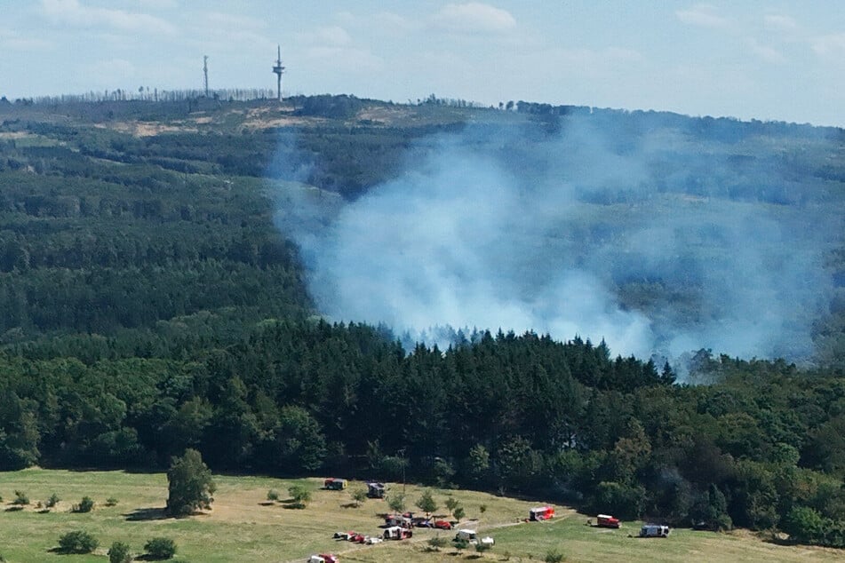 Waldbrand sorgt für bange Stunden: Flammen fraßen sich bis auf 20 Meter an einige Häuser heran!