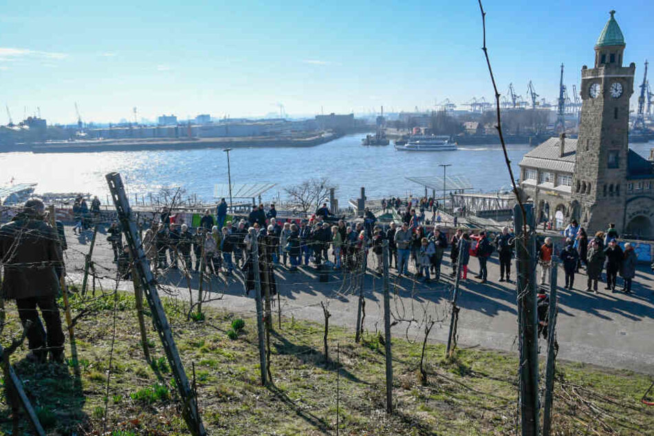Die Menschen standen bei herrlichem Sonnenschein Schlange, um eine der begehrten Reben abzustauben.
