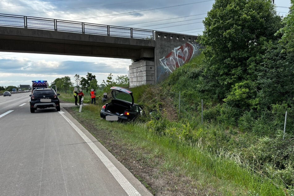 Der Renault kam von der Straße ab und krachte in einen Wildzaun.