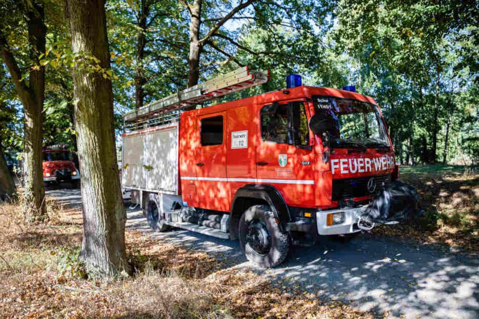 Die Feuerwehr muss immer wieder in der Königsbrücker Heide ran.