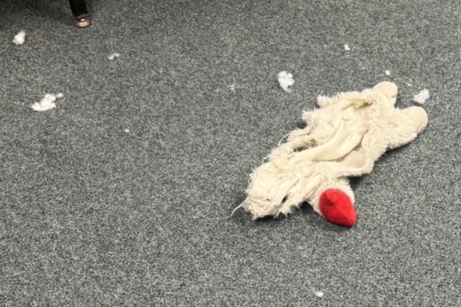 Den Beamten bot sich ein schrecklicher Anblick bei der Untersuchung des Tatorts.