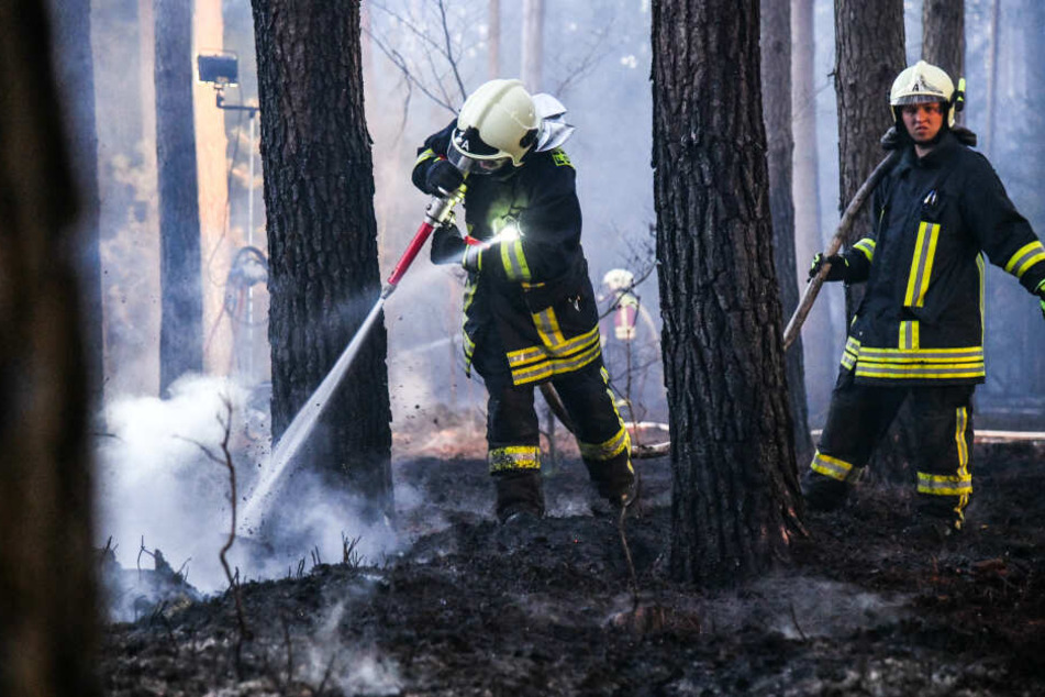 Auch in Oranienburg brannte vor wenigen Tagen ein Waldboden.