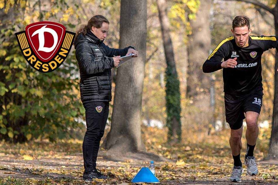Dynamo Spiel Dynamo Spiel