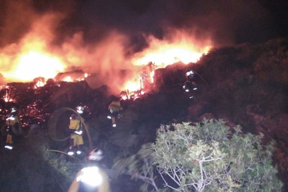 Ein großer Waldbrand hat im Norden Mallorcas den Bewohnern des Hafenortes Port de Pollença den Schlaf geraubt.