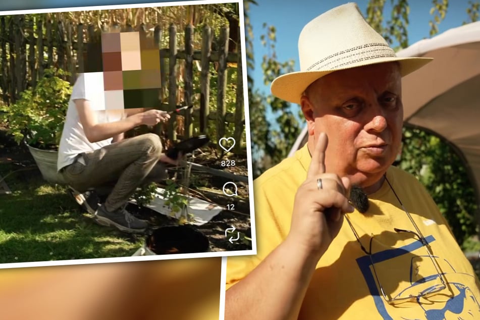 "Hast du einen an der Waffel!?" Kleingartensheriff erwischt ahnungslosen Umweltsünder