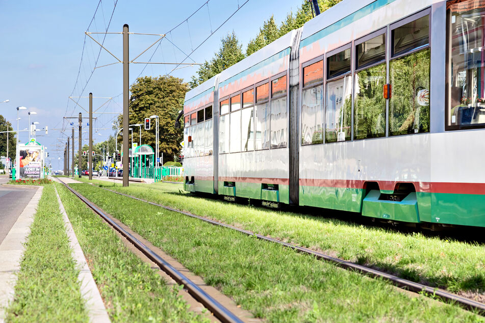 Auf den neuen Fahrbahnplatten sollen die Straßenbahnen in Zukunft leiser fahren können.