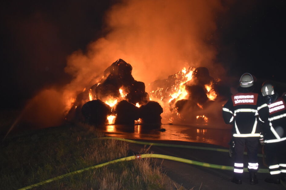 Feuerwehrleute stehen vor den brennenden Heuballen.