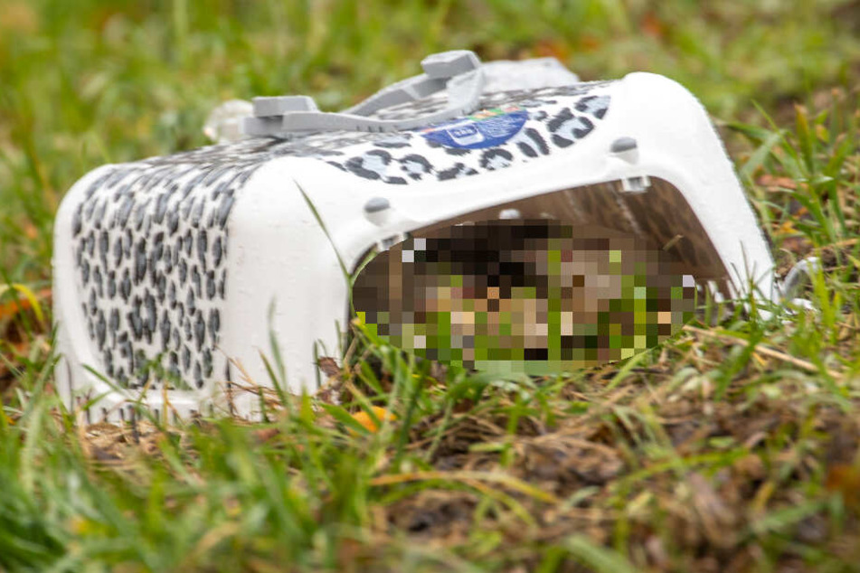 Getötet wurden leider zwei kleine Katzen, die im VW mitfuhren.