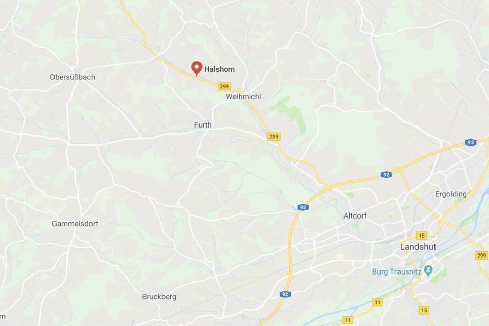 Der samtpfötige Täter griff die Polizisten in der Nähe von Landshut an.