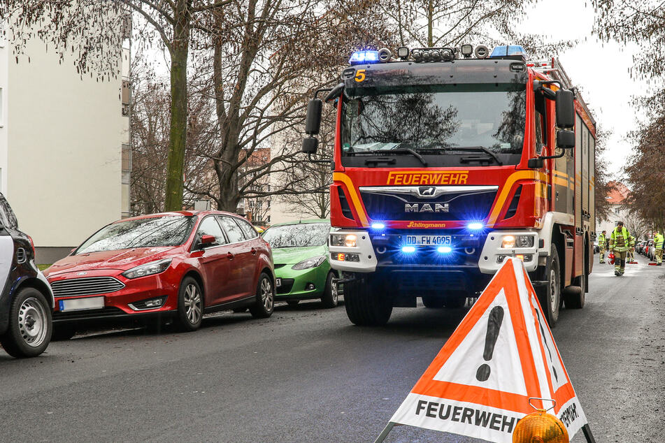 Die Dresdner Feuerwehr musste am Mittwoch zwei Tiere retten. (Symbolbild)