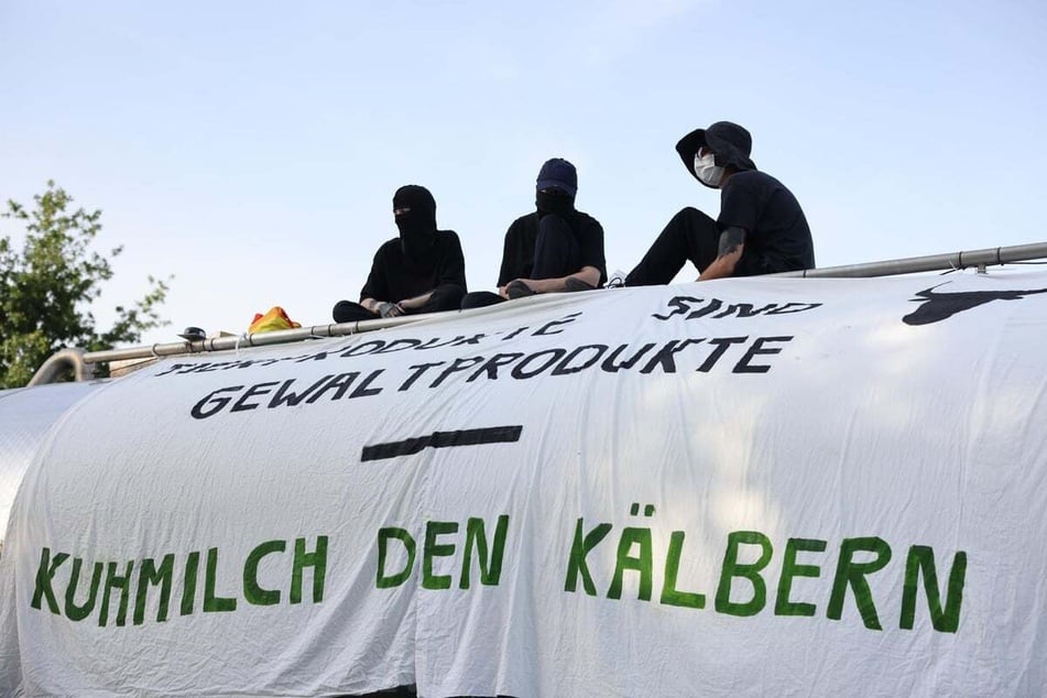 Radikale Tierschützer von "Animal Rebellion" haben einen Milchtruck gekapert.