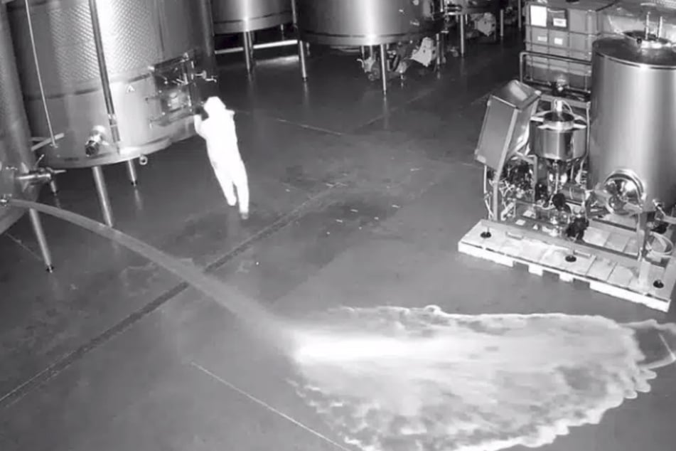 Das Foto zeigt die frustrierte Ex-Angestellte der Weinkellerei bei ihrer Tat. Während aus einem Tank schon das flüssige Traubengold sprudelte, öffnete sie danach noch zwei weitere Behälter.