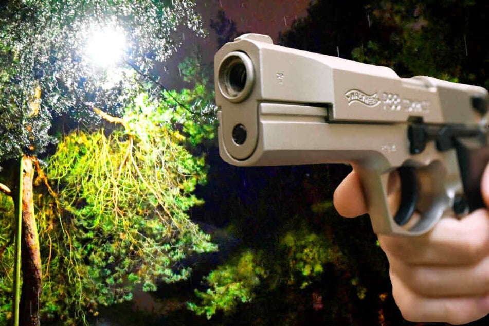 Die Schüsse im Ahnepark in Vellmar fielen am Montagabend gegen 22.45 Uhr (Symbolbild).