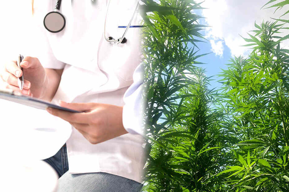 Cannabis als Heilmittel? Wissenschaftler haben herausgefunden, wie man die Krebs-Ausbreitung im Körper eindämmen kann (Symbolbild).