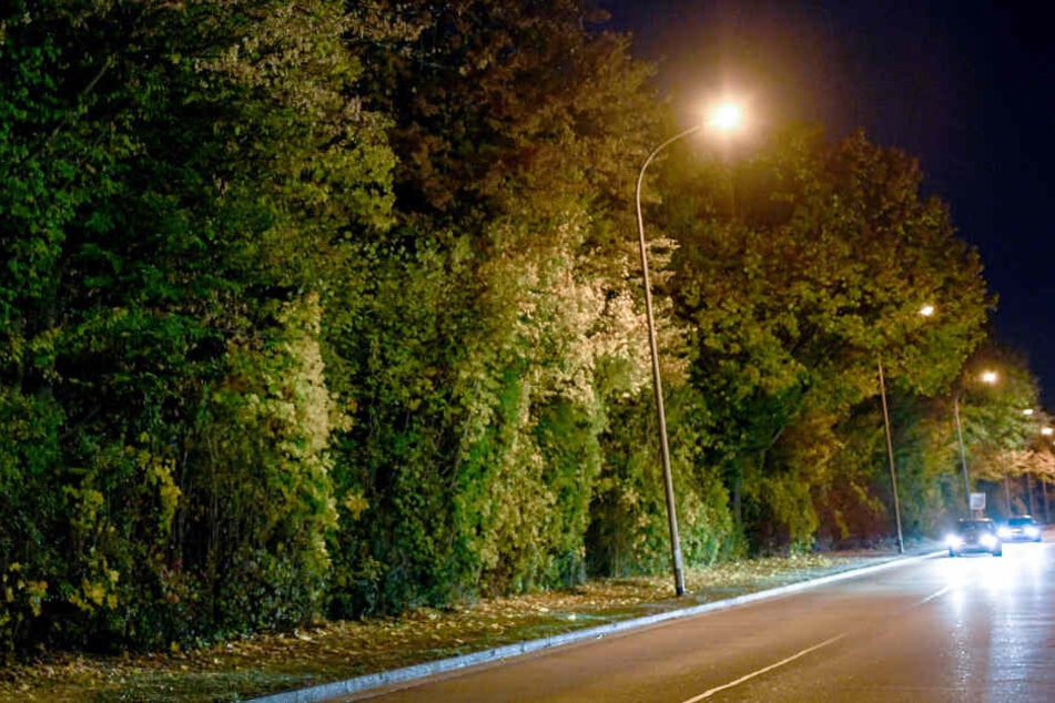 Eine Straße und die angrenzende Grünanlage im Industriegebiet Nord hinter einem Diskothekenareal wird nachts von Straßenlaternen erleuchtet. Hier sollen elf Männer eine 18-Jährige vergewaltigt haben.