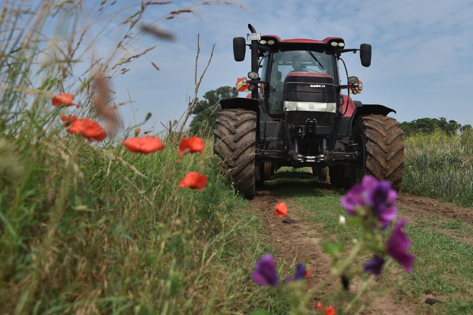 Bizarrer Vorfall im Landkreis Wittenberg: Nackter Mann versucht, Landwirt zu beißen