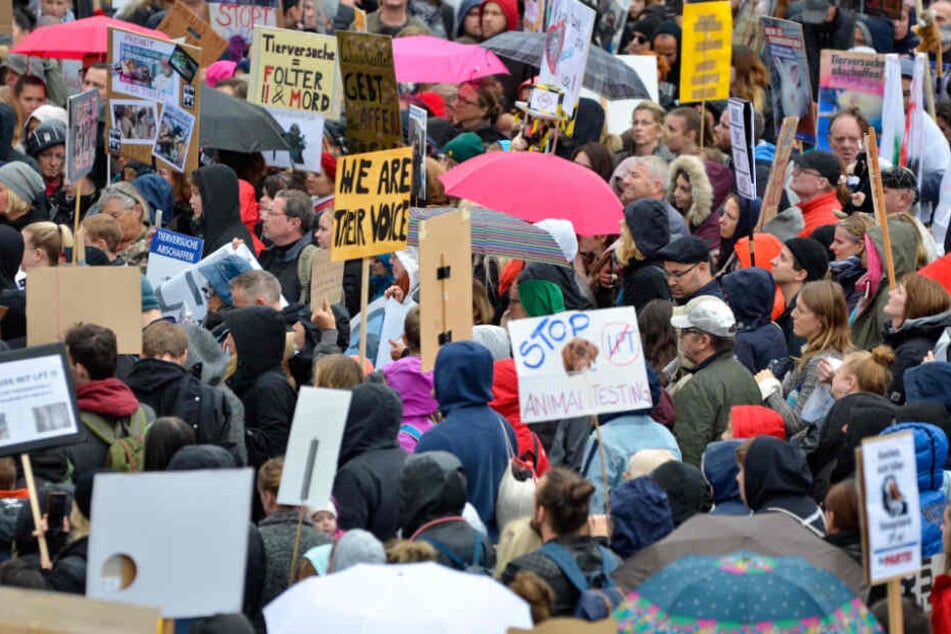 Viele Teilnehmer der Demo halten selbstgebastelte Schilder hoch.