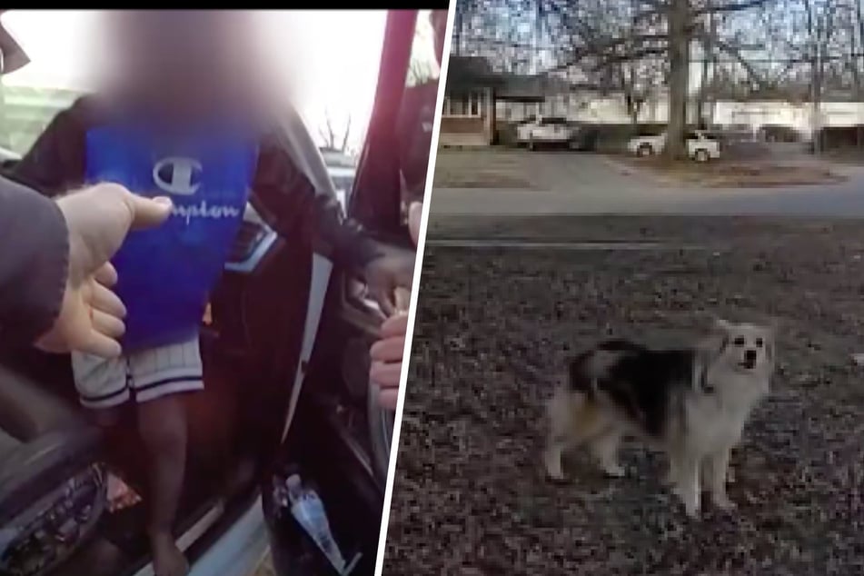 Suche nach vermisstem Kind: Was dieser Hund getan hat, lässt Polizeibeamte staunen