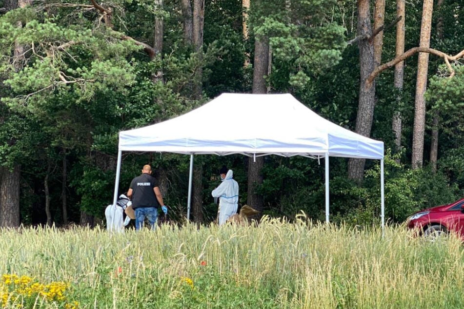 Polizeibeamte sichern unter einem Schutzzelt an der Fundstelle einer Toten Spuren. Die Leiche einer 23-Jährigen wurde nahe dem Wald im Landkreis Neustadt an der Aisch-Bad Windsheim gefunden. (Archiv)