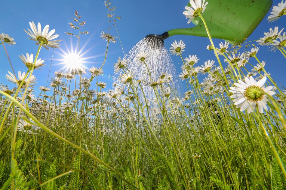 Ab und zu wird sich aber auch die Sonne zeigen - bei bis zu 27 Grad.