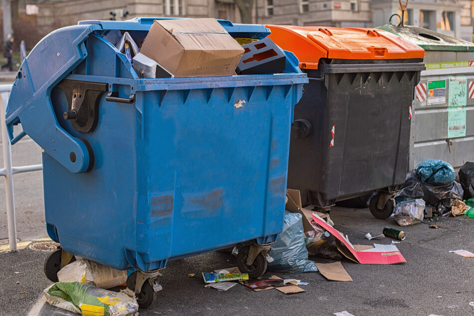 The deep-fried body parts were found in black plastic bags in dumpsters behind a strip mall (stock image).