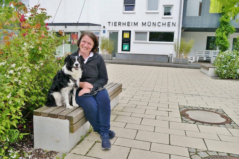 Das Münchner Tierheim hat unter der Leitung von Dr. Eva-Maria Natzer im Jahr 2023 für über Tausend Tiere ein Zuhause gefunden.