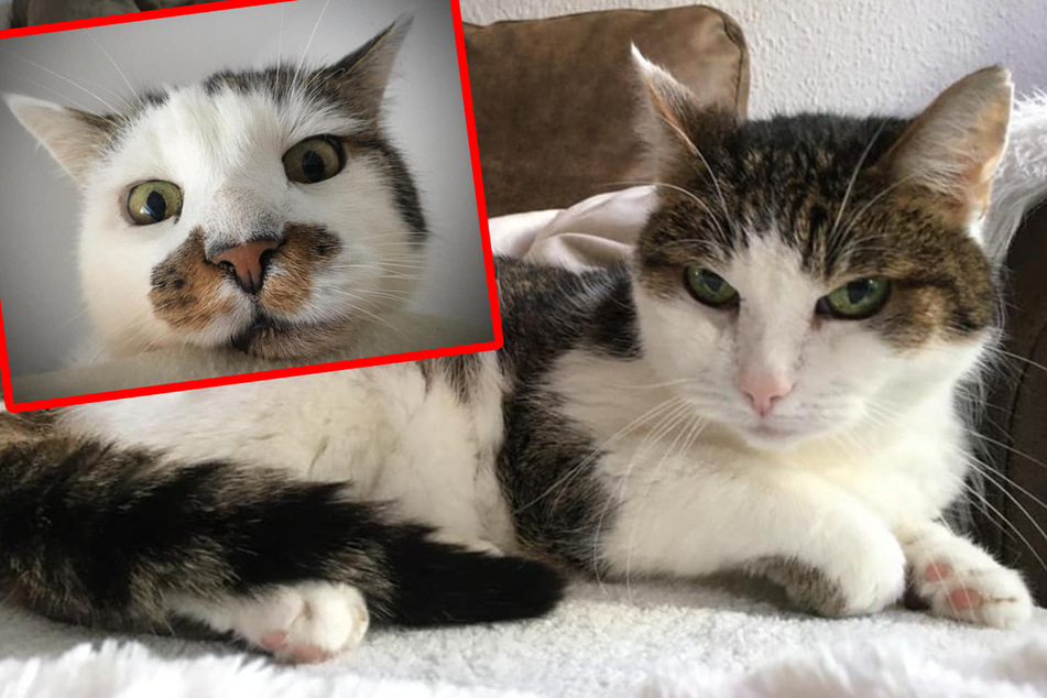 Minka und Jakob: Dieses Senioren-Duo sucht eine neue Residenz