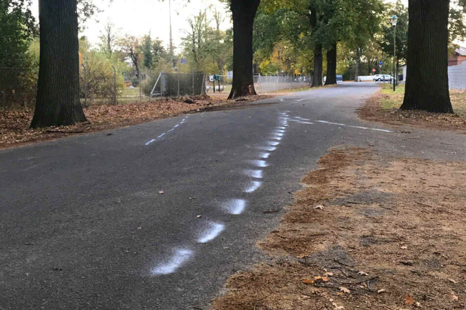 Auf dieser Straße raste ein 18-Jähriger gegen einen Baum. Eine 16-Jährige und ein 20-Jähriger kamen dabei ums Leben.