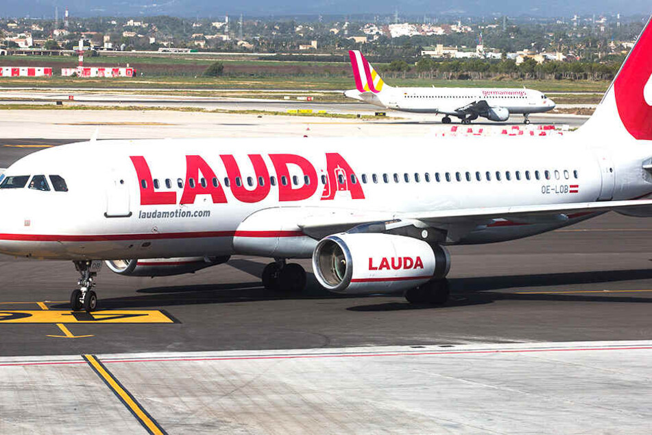 Laudamotion erhöht seine Präsenz auf dem Flughafen von Mallorca.