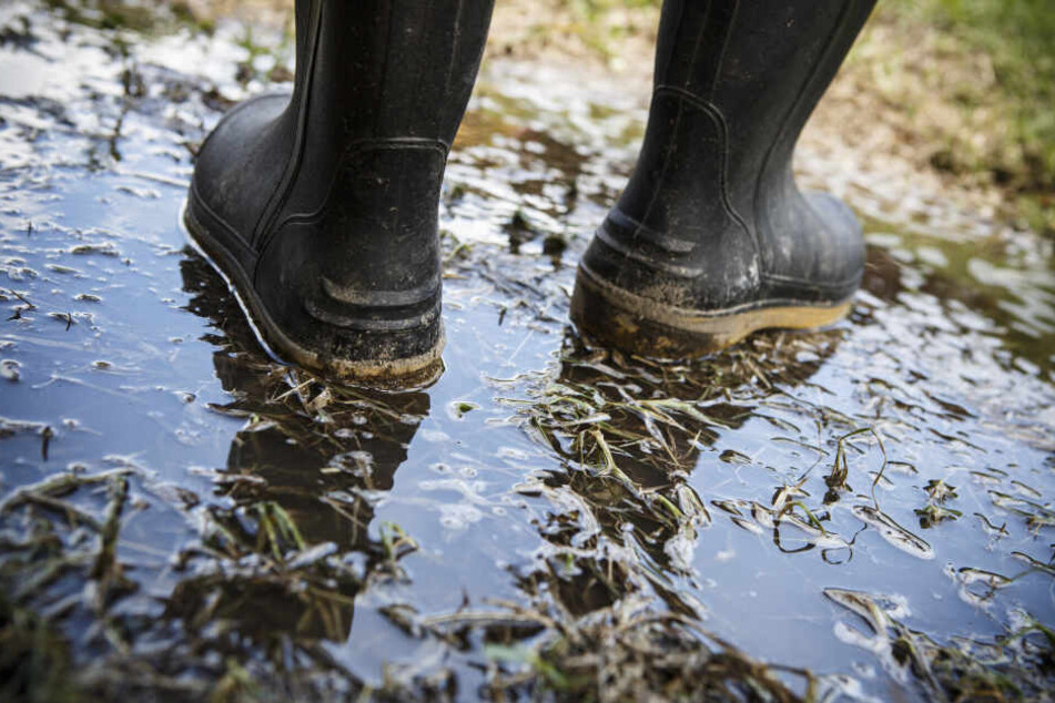 In Plauen haben Gummistiefel in einem Teich einen Polizeieinsatz ausgelöst. (Symbolbild)