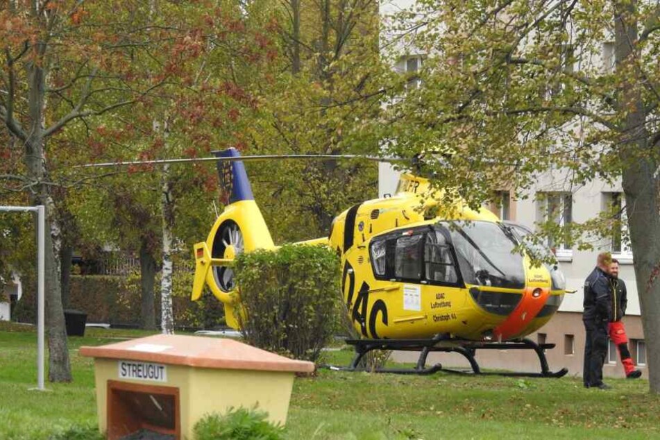 Ein Rettungshubschrauber brachte die Verletzte in ein Krankenhaus.