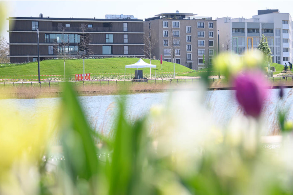 Blumen blühen vor den Häusern der Stadtausstellung.