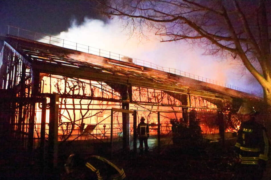 Feuerwehrleute nach den Löscharbeiten am Krefelder Zoo.