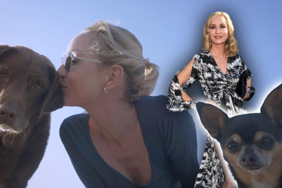 Isabella Hübner (52) liebt ihre Hunde Sam (l.) und Tyson über alles. (Bildmontage)