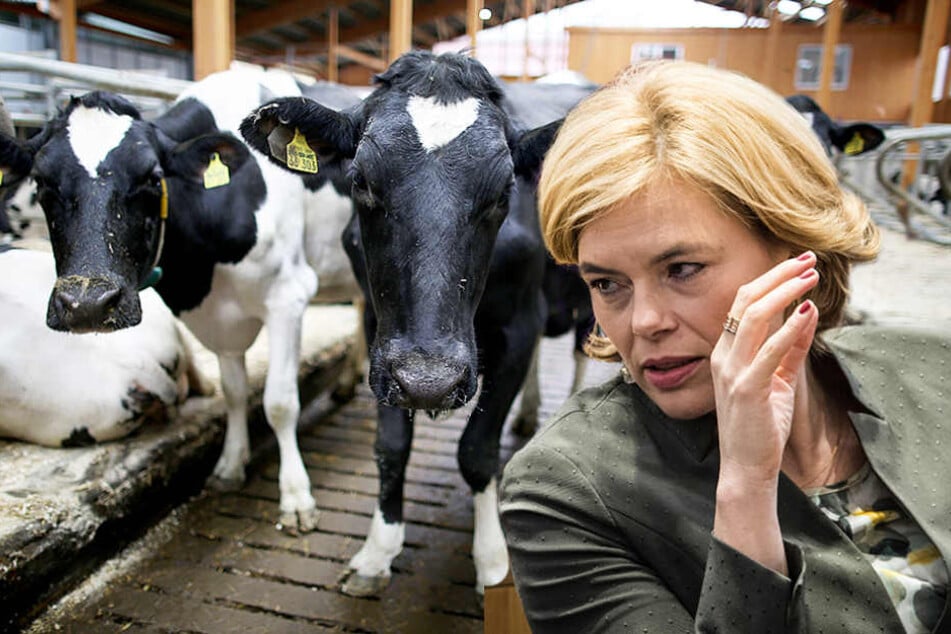 Agrarministerin Julia Klöckner (45) will den Tier- und Naturschutz stärken.