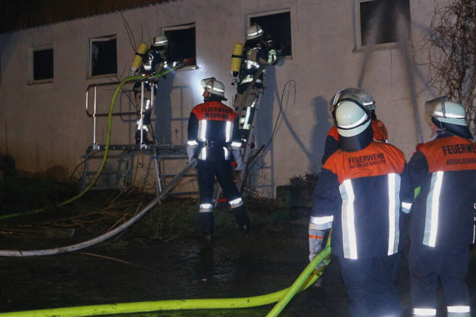 Insgesamt 700 Mastschweine wurden in der Stallung gehalten. Rund 300 Schweine starben in den Flammen.