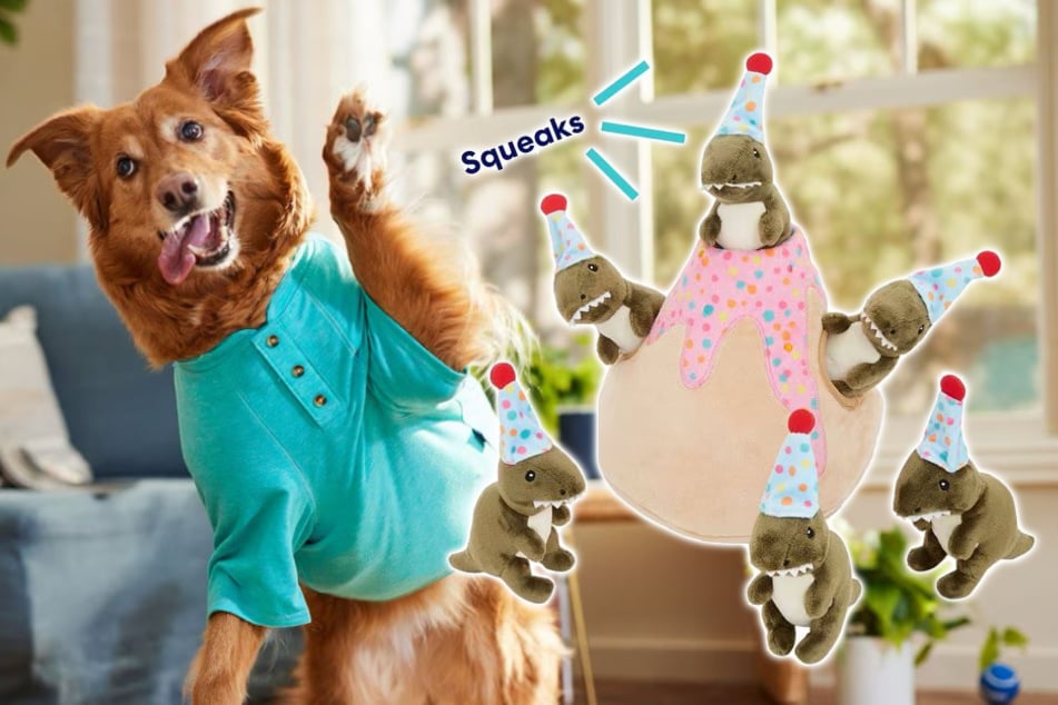 This deal is lava hot – get Dino Volcano Toys your dog will obsess over